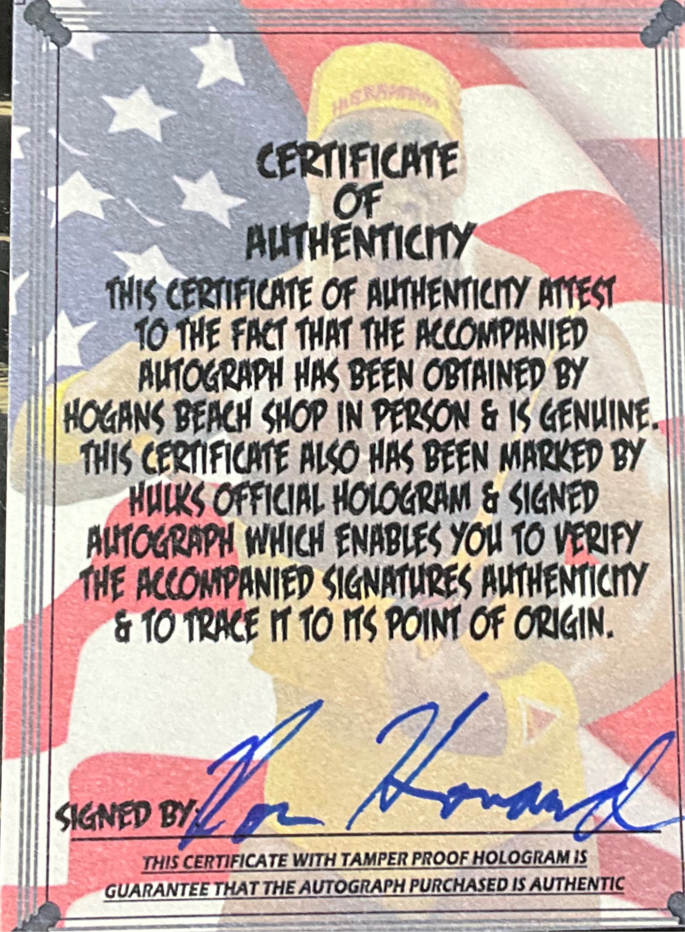 Hulk Hogan and Cindy Lauper Wrestling Stars