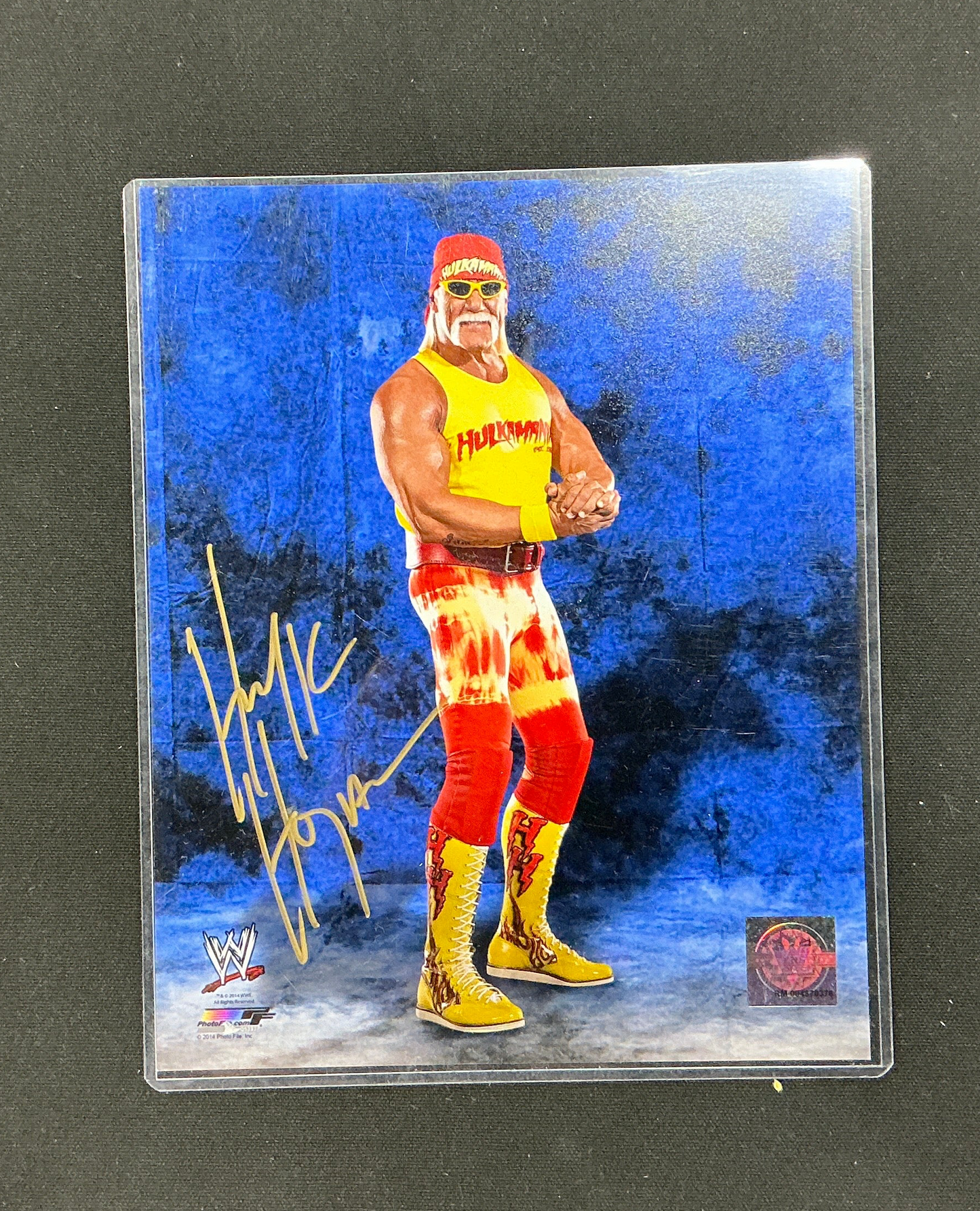 Hulk Hogan Hollywood Side-Flex Autographed 8x10 Photo - Blue Signature