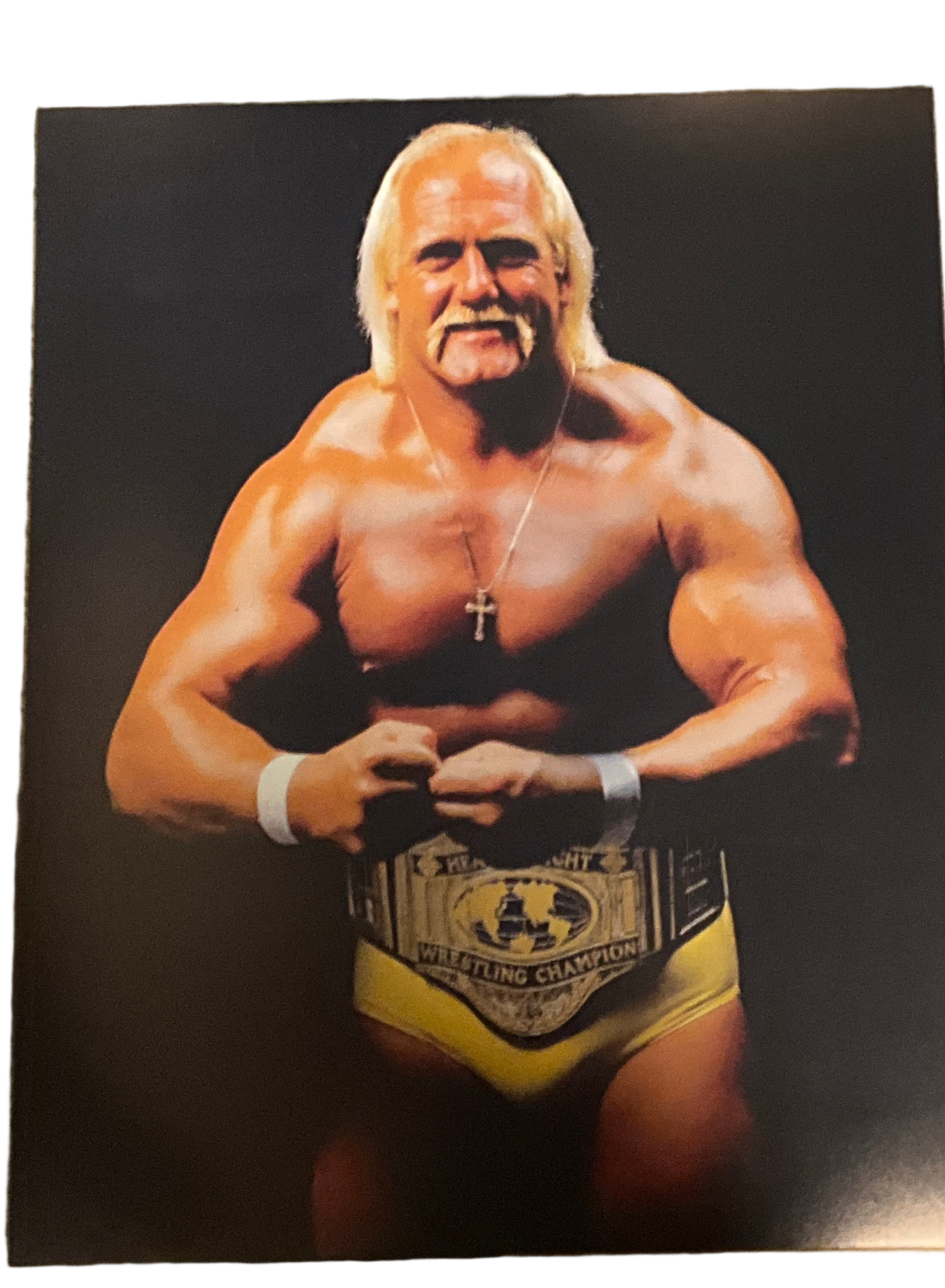 Hulk Hogan Crab Pose 16x20 UNSIGNED Poster