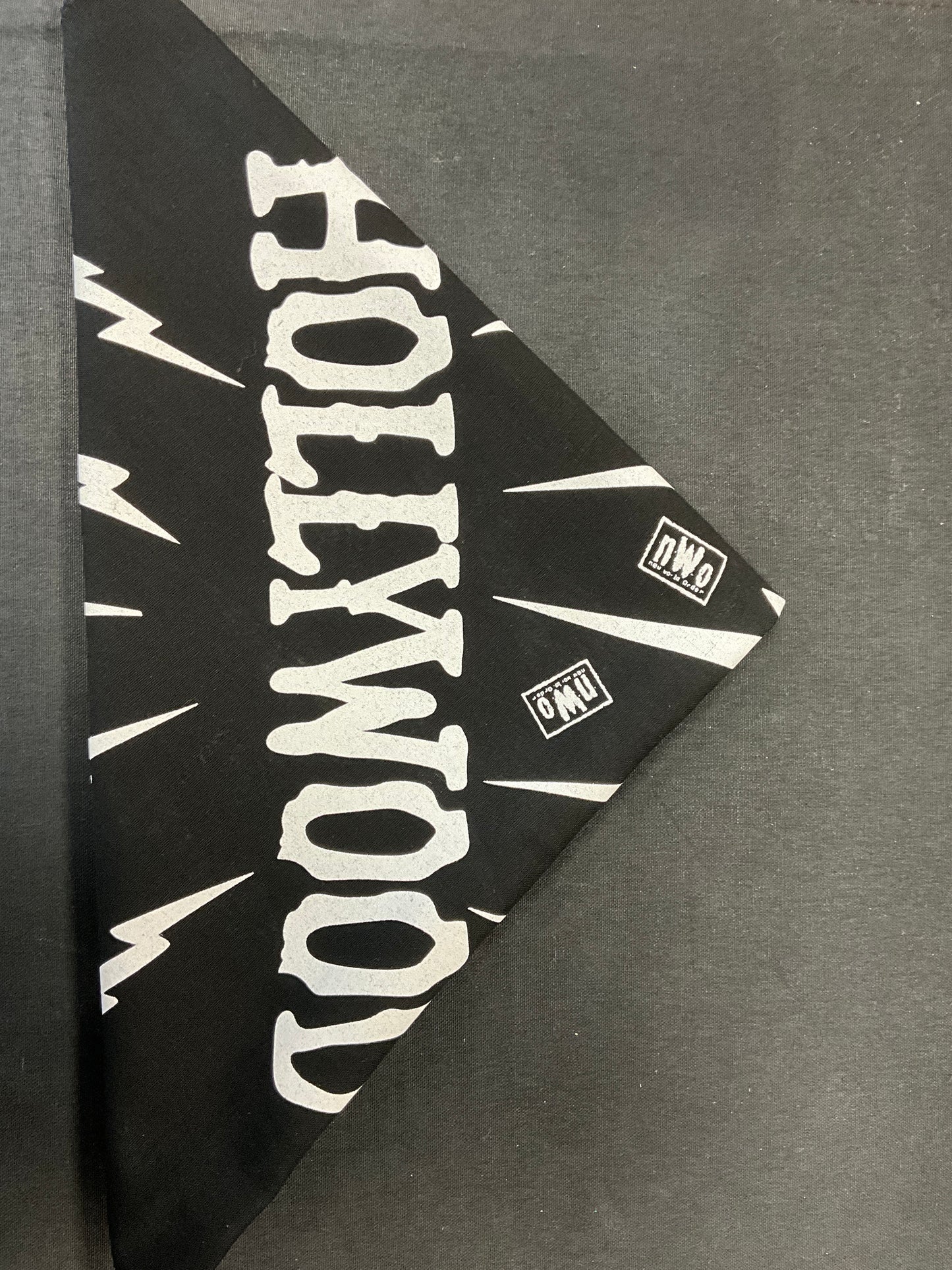 Hollywood Lightning Bandana