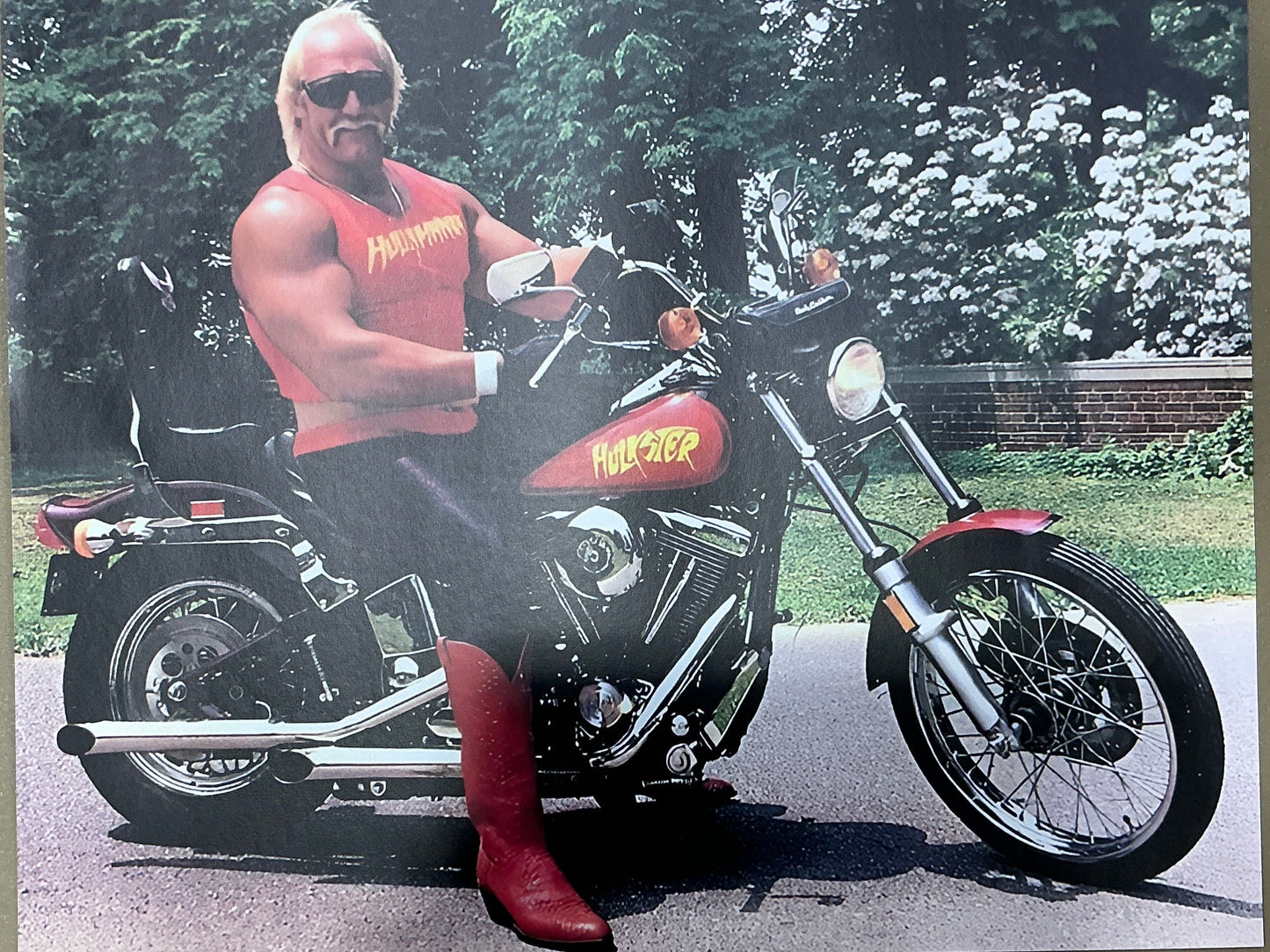 Hulkster Motorcycle 16x20 Poster UNSIGNED