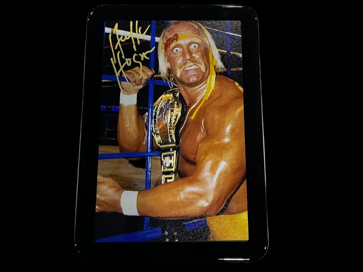 Consignment SR - Framed Hulk Cage 4x6 Photo Signed
