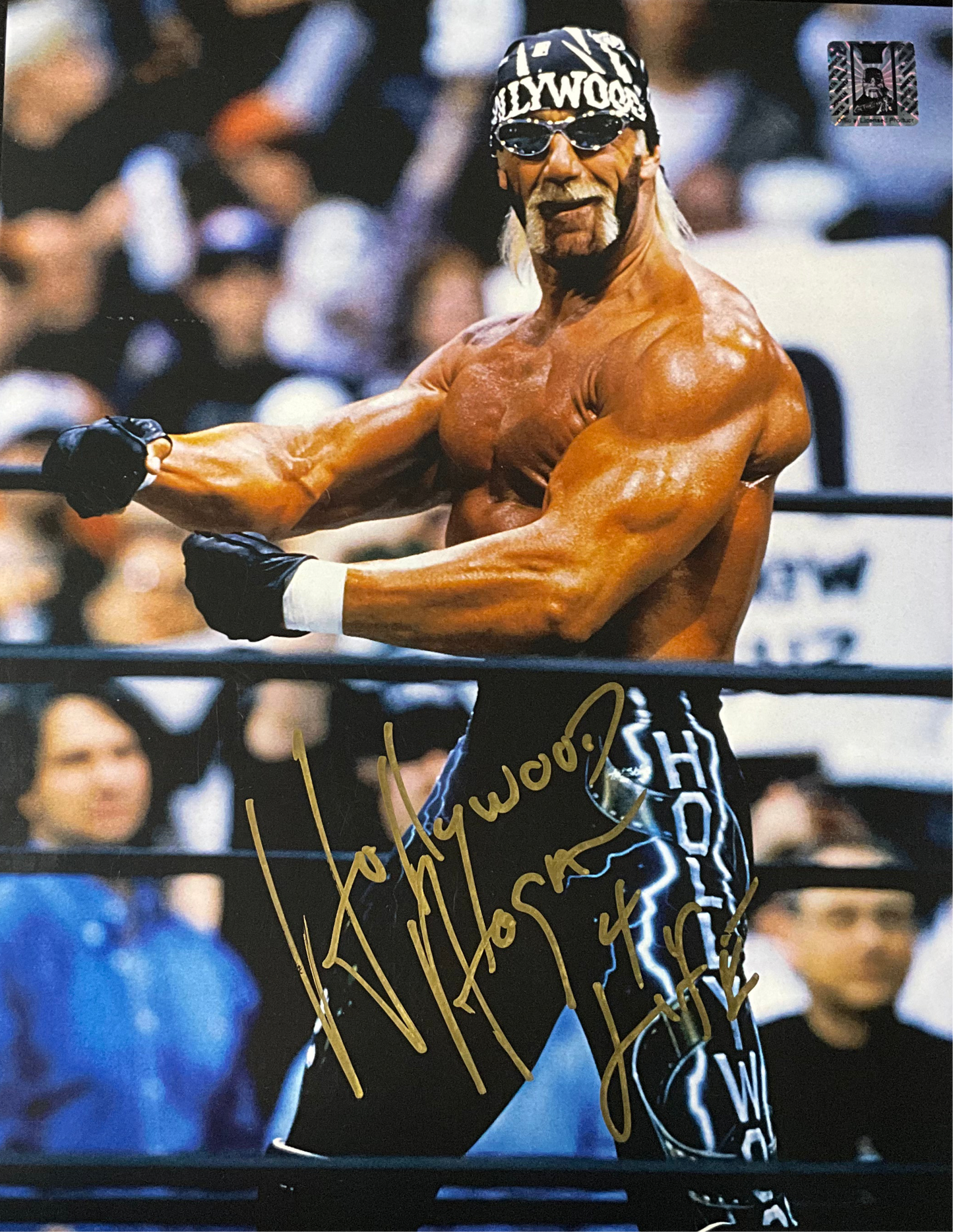 Hollywood Hogan Side Flex Signed 8x10 Photo