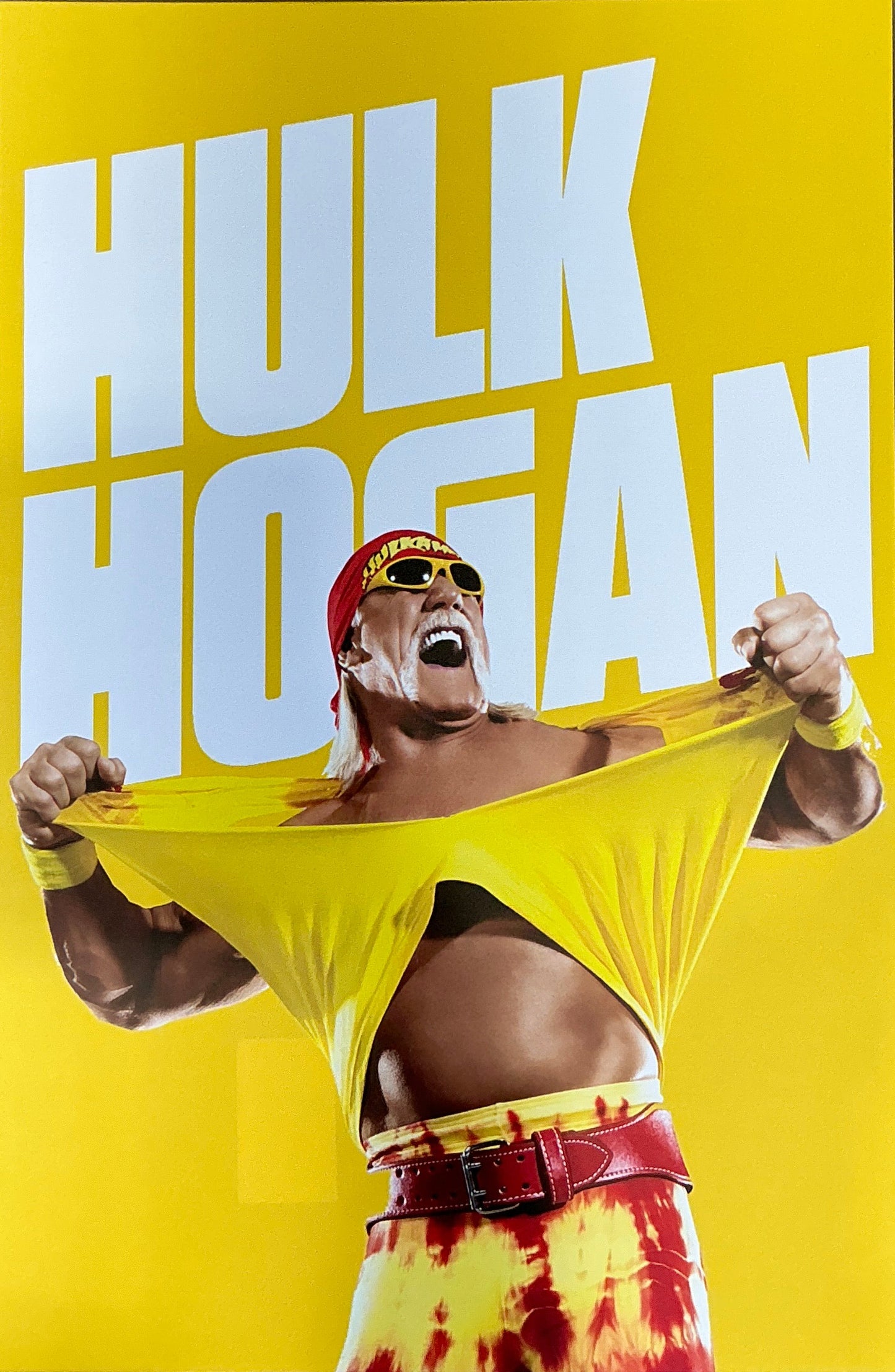 Hulk Hogan 24x36 Canvas