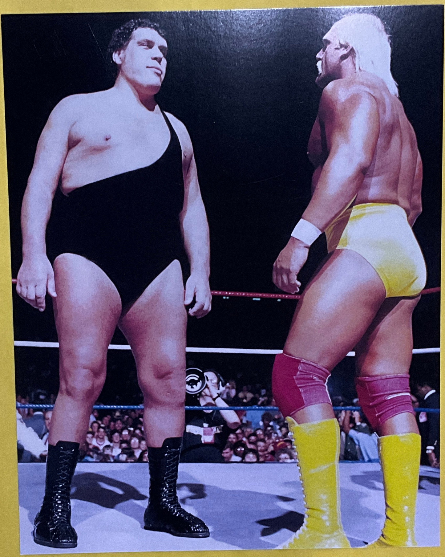 Hulk Hogan Andre the Giant Standoff Unsigned 8x10 Photo