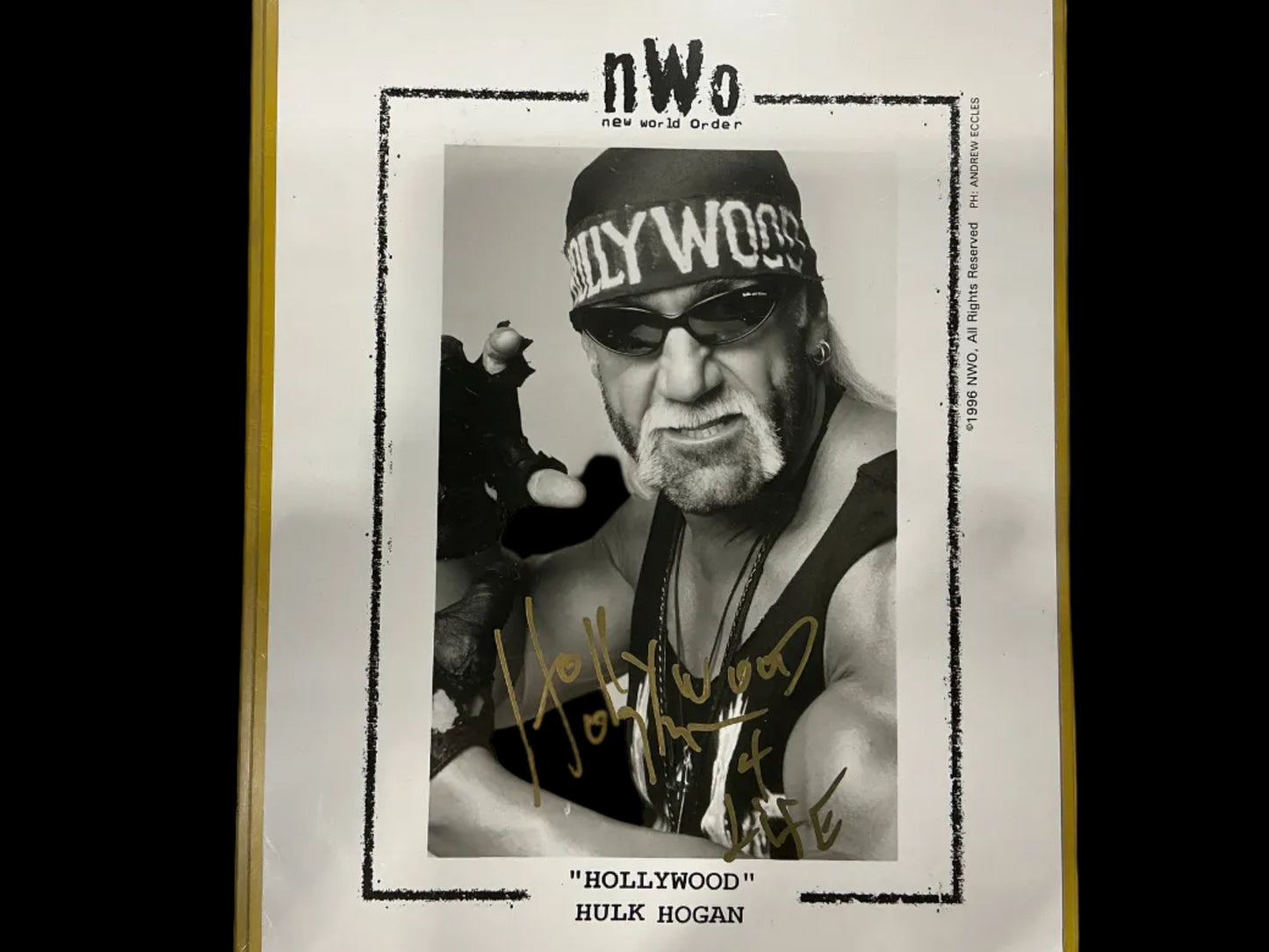 Consignment SR - Hollywood Hogan 8x10 Photo Signed Framed