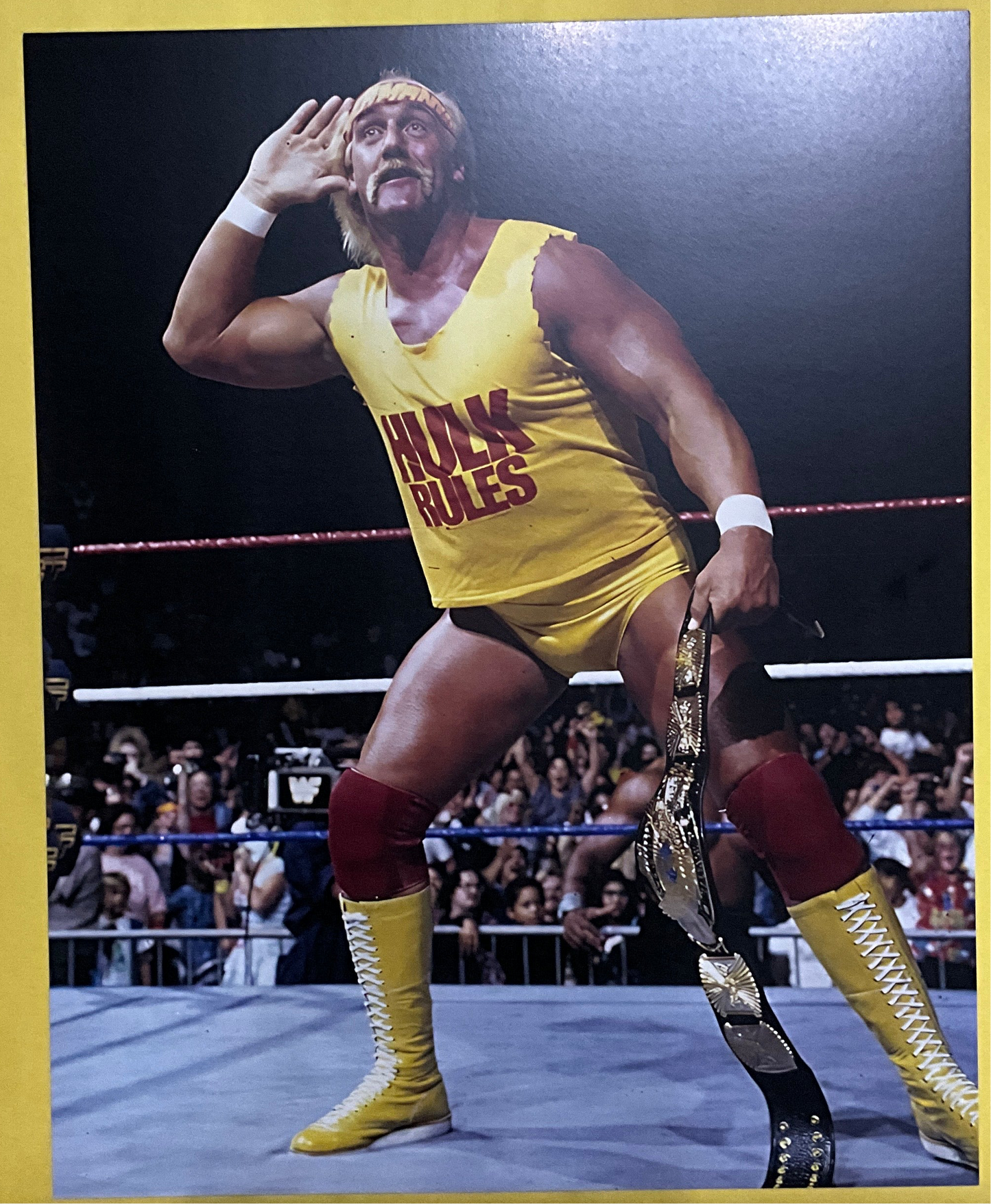 Hulk Rules Ear Pose Unsigned 8x10 Photo
