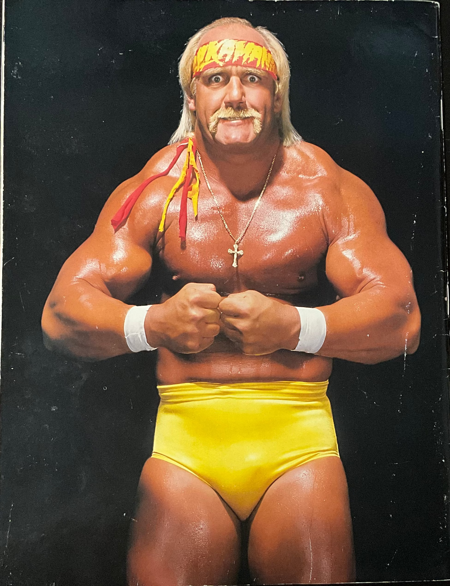 Hulkamania The Man The Myth The Icon