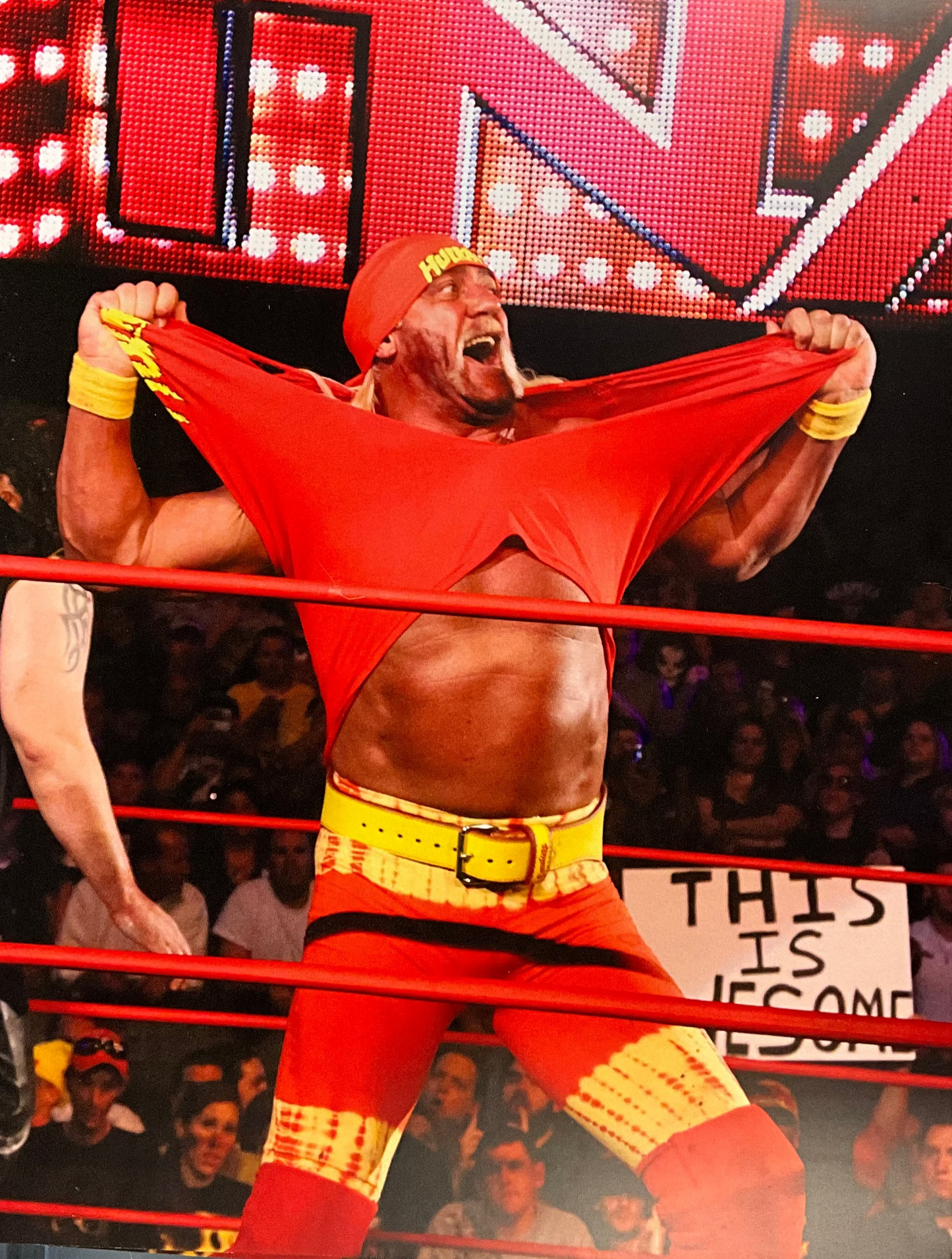 Hulkamania Rip Shirt Unsigned 8x10 Photo