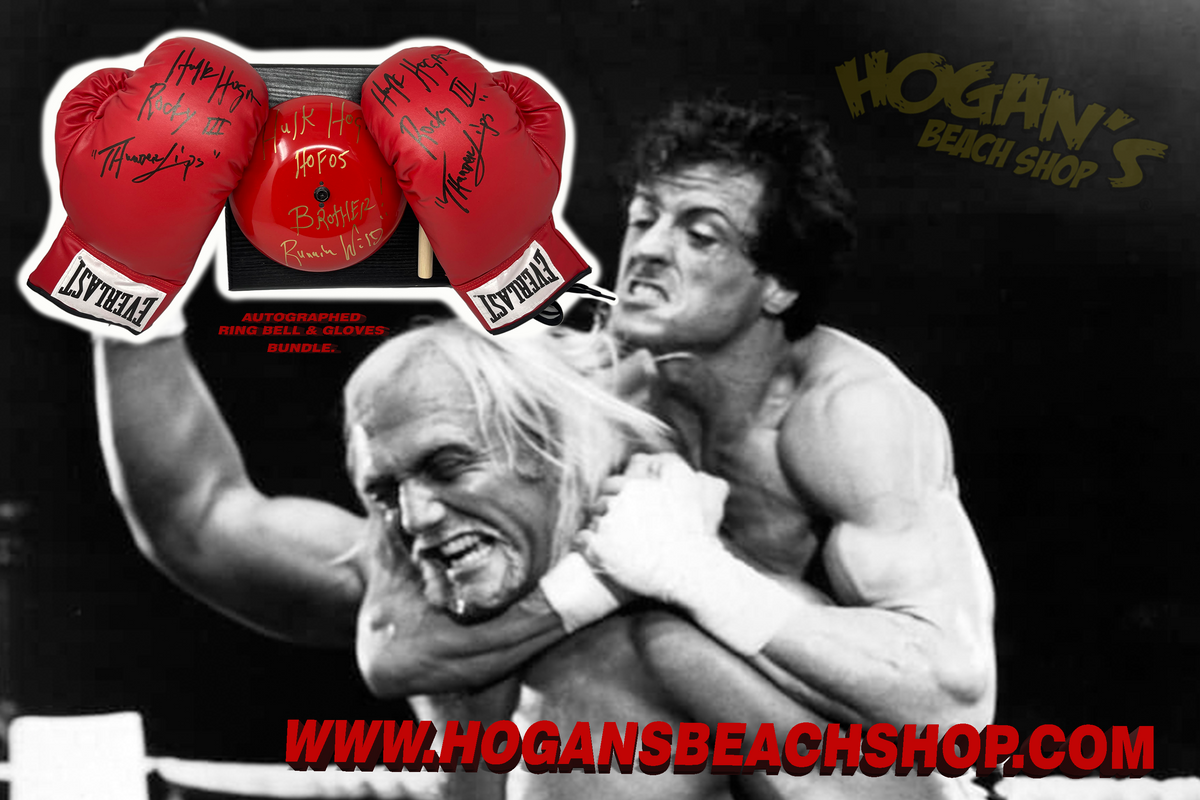 Ikonka Art.KX6178 Boxing bag and gloves boxing set buy online