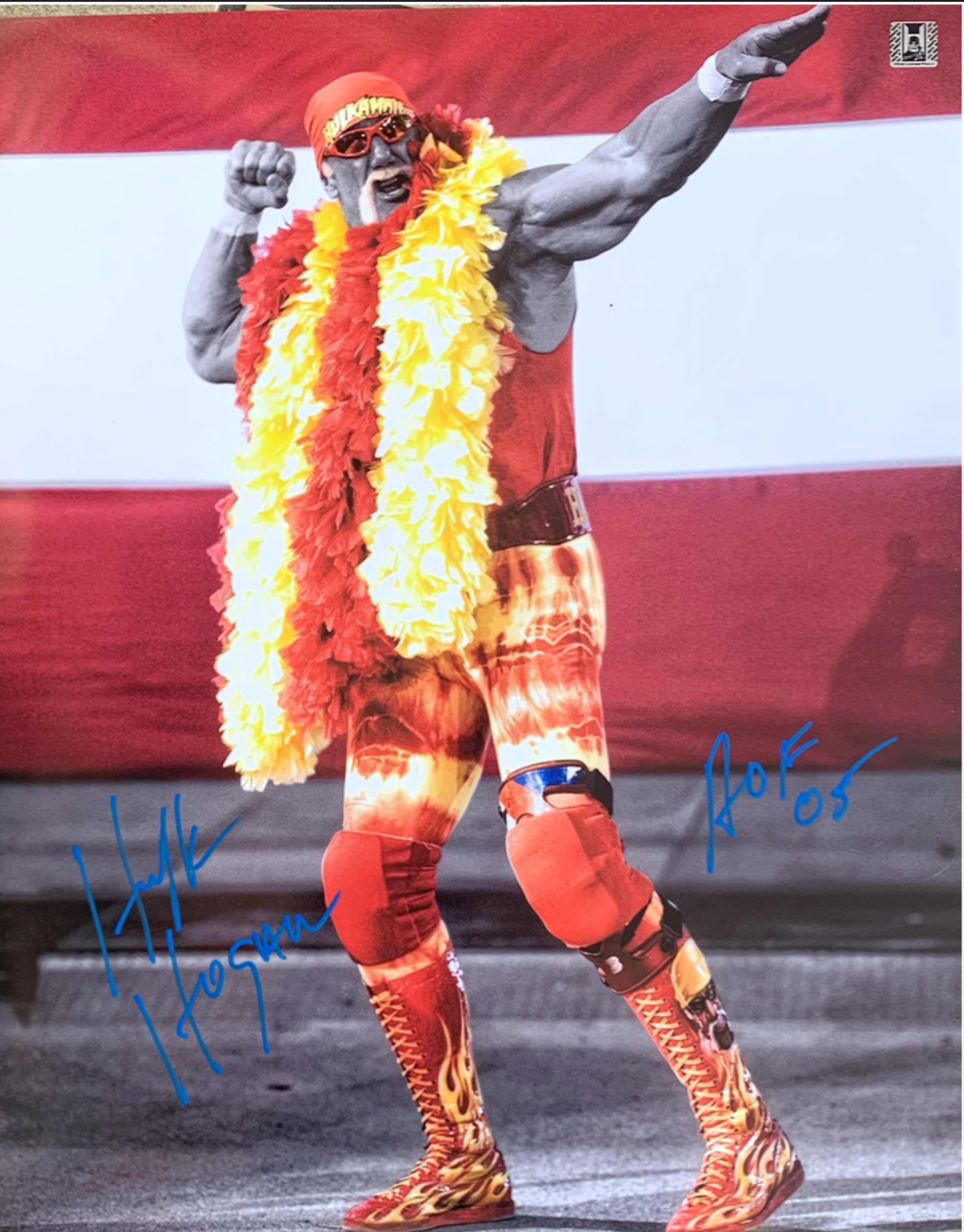 Hulkamania Flag & Boa Bow and Arrow Autographed 16x20 Poster