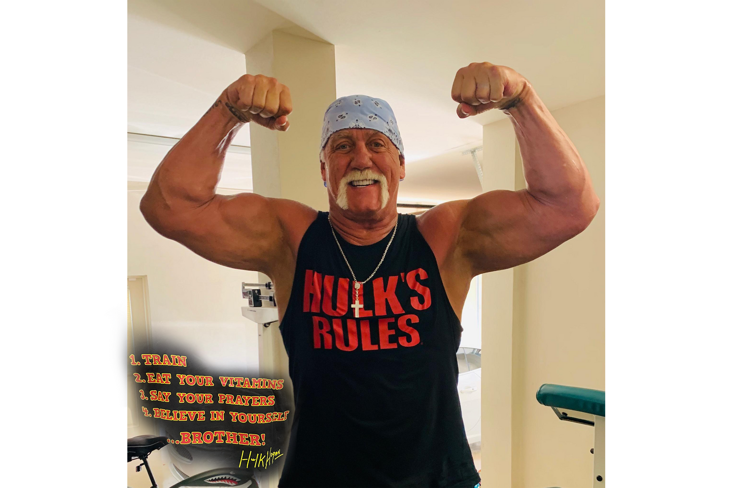 Hulk's Rules Adult T-Shirt