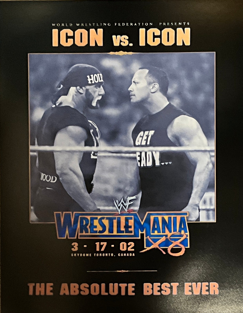 Icon Vs Icon Hollywood Hogan And The Rock 16x20 Unsigned Poster
