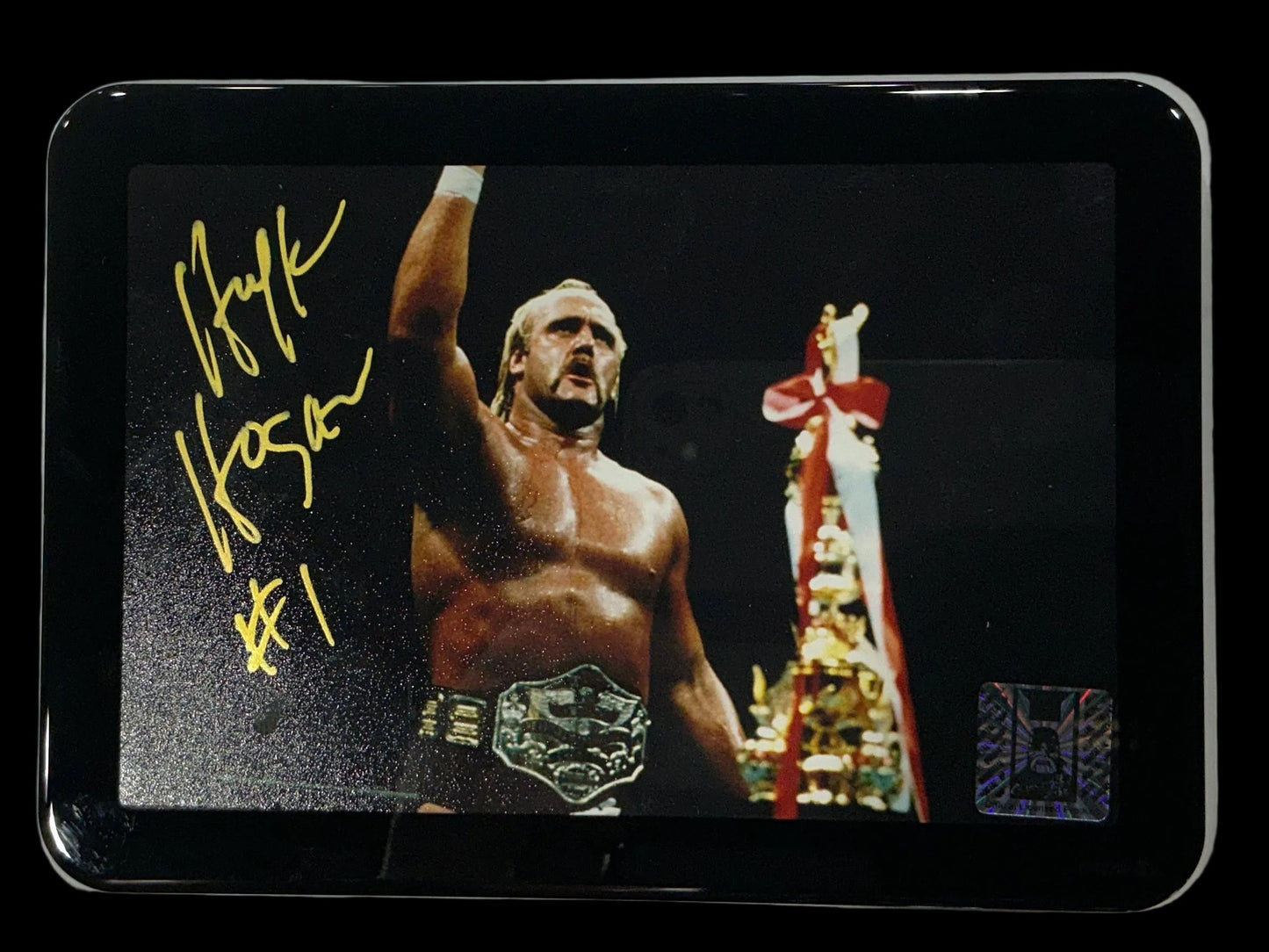 Consignment SR - Framed Hulk 1984 4x6 Photo Signed