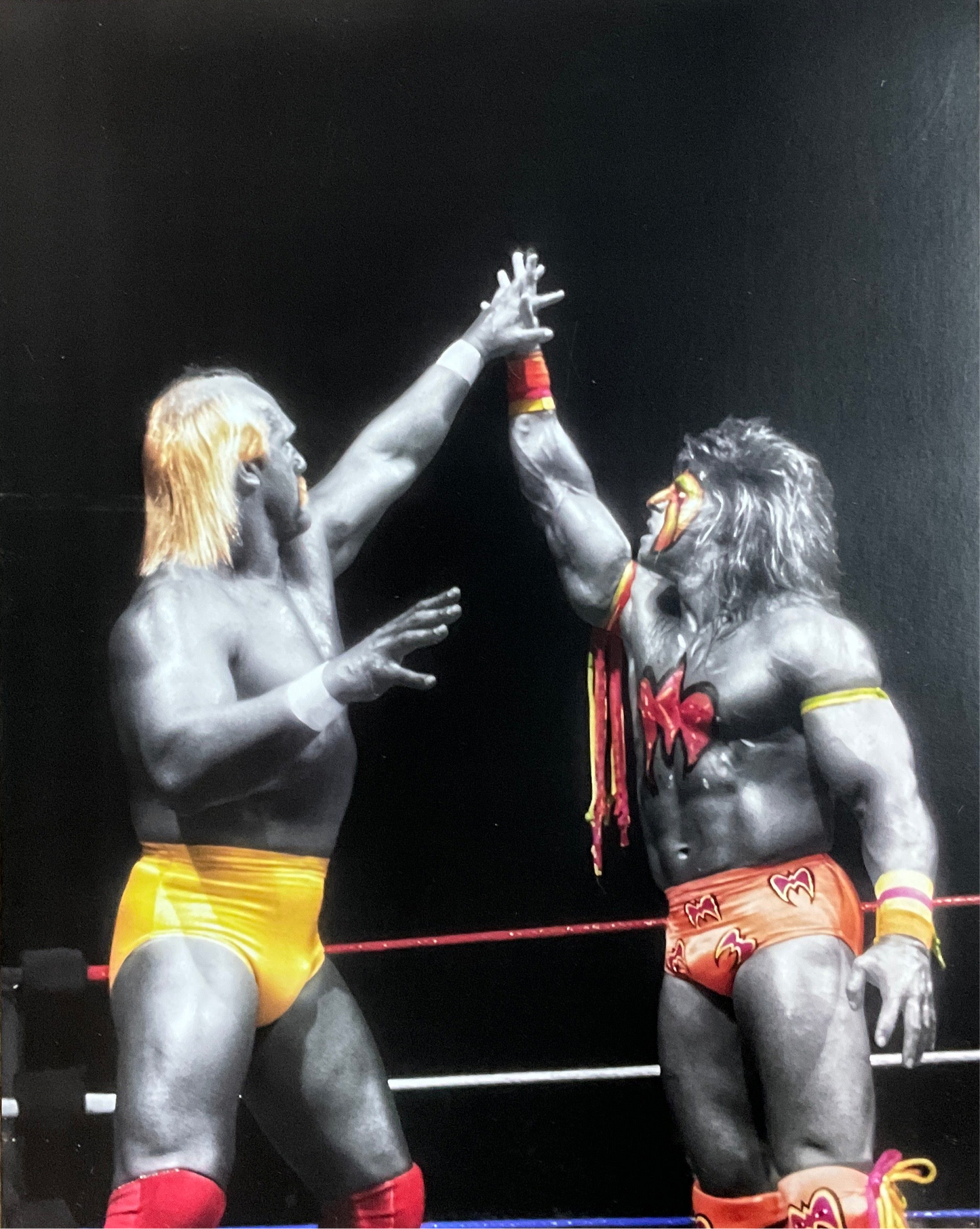 Hulk Hogan Ultimate Warrior Arms Up 16x20 Poster Unsigned