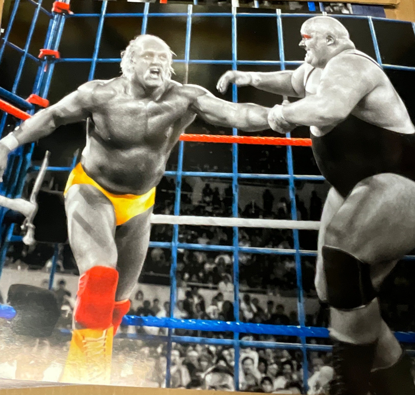 Hulk Hogan King Kong Blue Steel Cage Match 16x20 Unsigned Poster