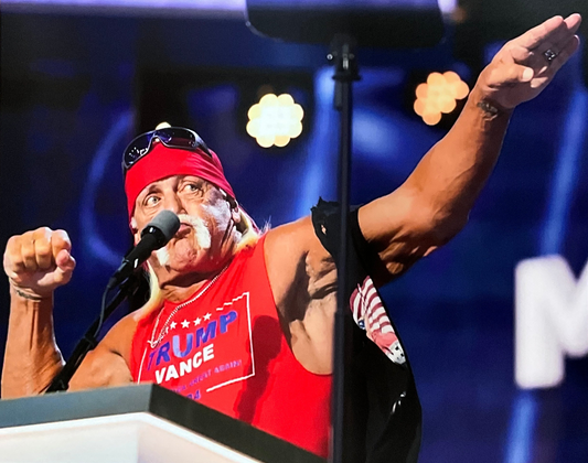 Trumpamania Bow n Arrow Lights Unsigned 16x20 Poster