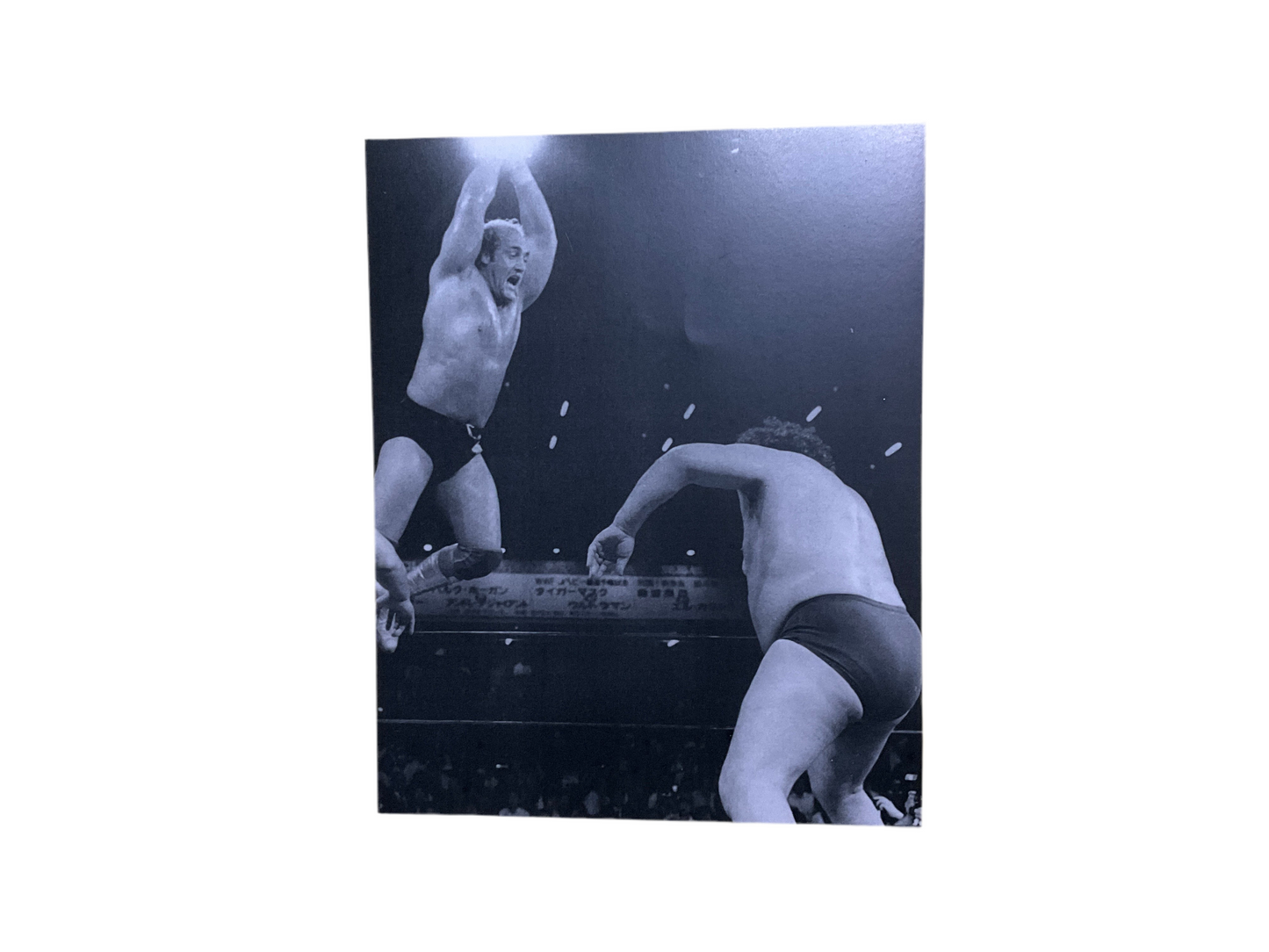 Hulk Hogan Andre the Giant Japan Rope Jump Unsigned 8x10 Photo