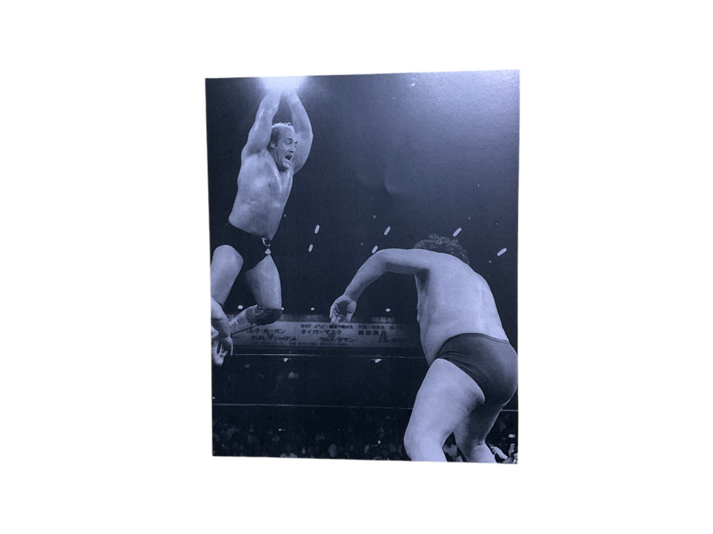 Hulk Hogan Andre the Giant Japan Rope Jump Unsigned 8x10