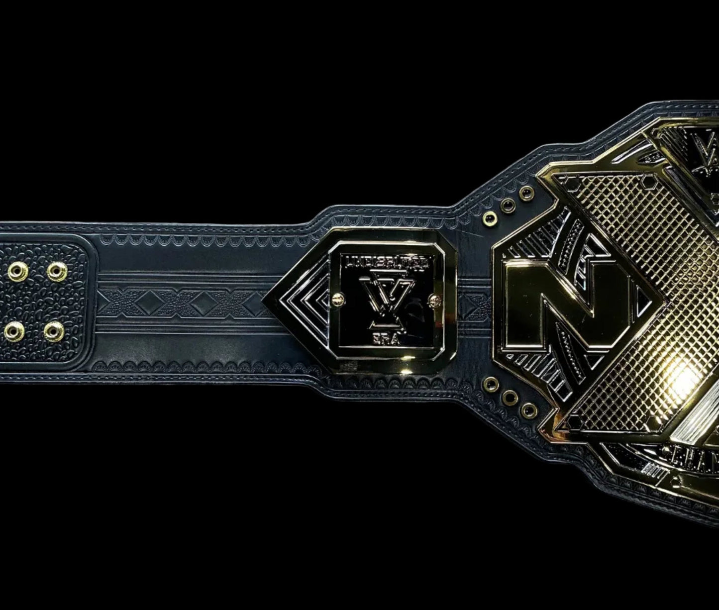 NXT Championship Replica Title Belt