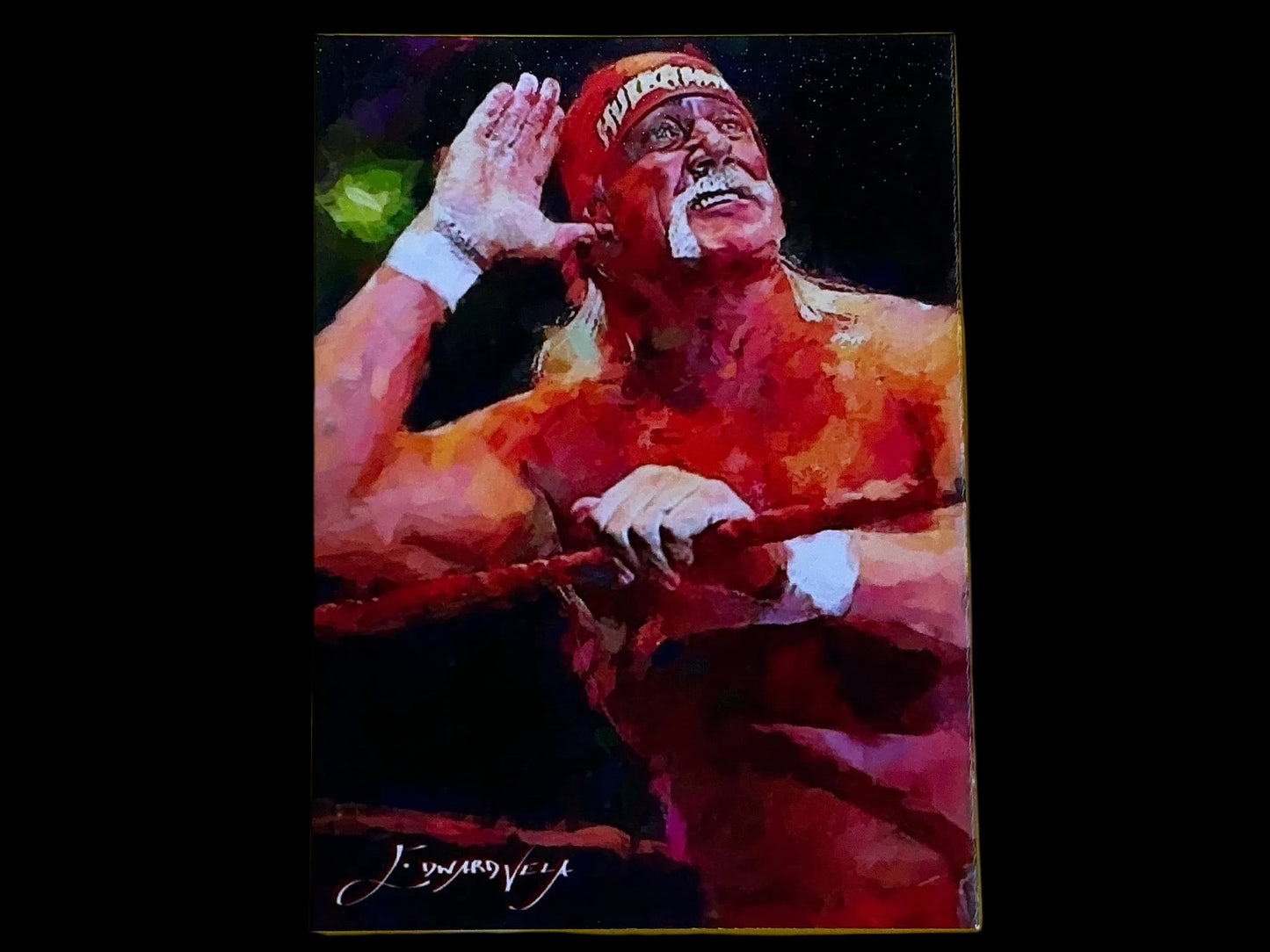 Edward Vela Hulk Hogan #6 45/50 Trading Card
