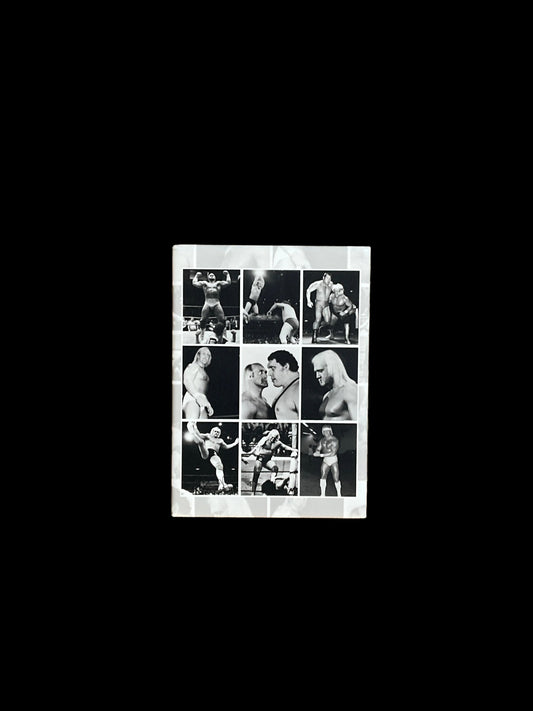 Flat Magnet Matte Collage