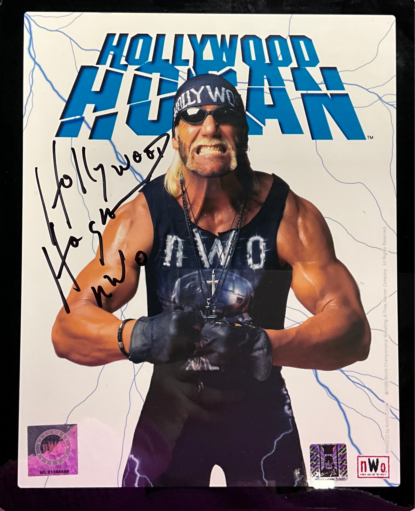 Hollywood Hogan nWo Original WCW Promo