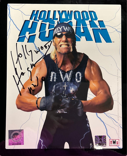 Hollywood Hogan Original WCW Promo