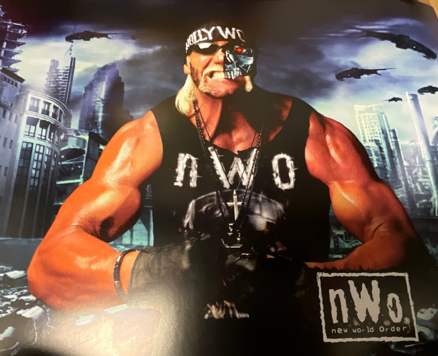 Hollywood Hogan NWO Terminator 18x24 Unsigned Poster