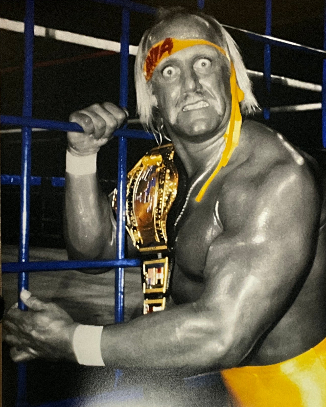 Hulk Hogan Black & White Blue Steel Crazy eyes 16x20 Unsigned Poster