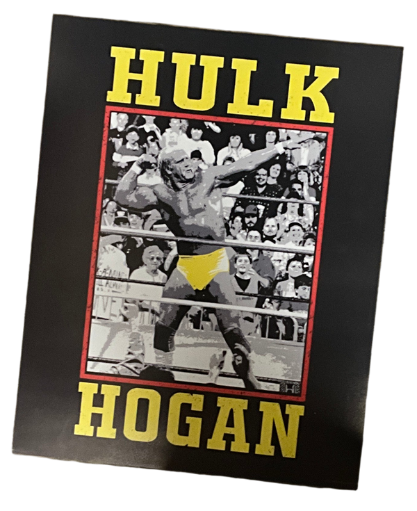 Hulk Hogan Snapshot 16x20 Unsigned Poster