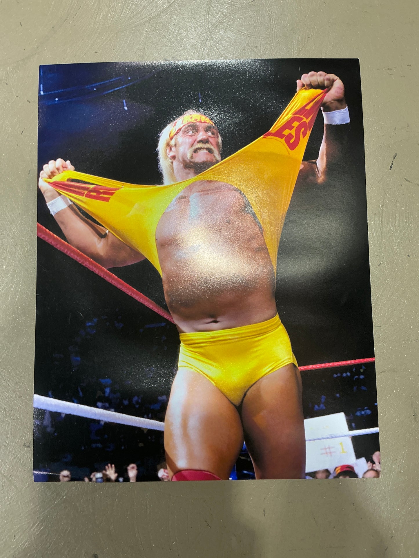 Hulks Rules Shirt Rip 16 x 20 Poster UNSIGNED