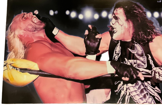 Hulk Hogan And Sting Punch 18x24 Unsigned Poster