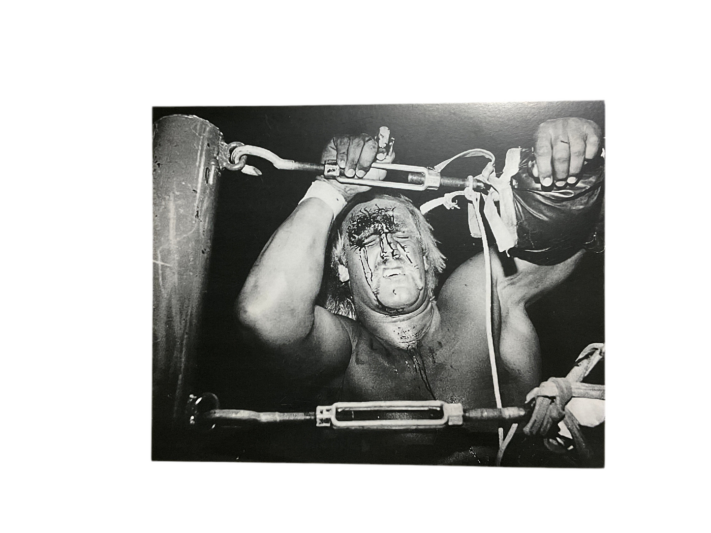 Hulk Hogan Bloody Ropes Unsigned 8x10 Photo