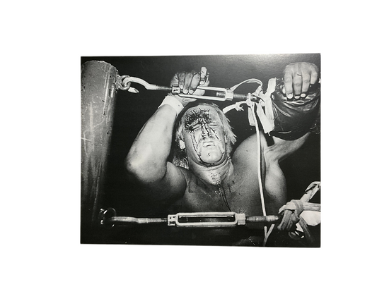 Hulk Hogan Bloody Ropes Unsigned 8x10 Photo