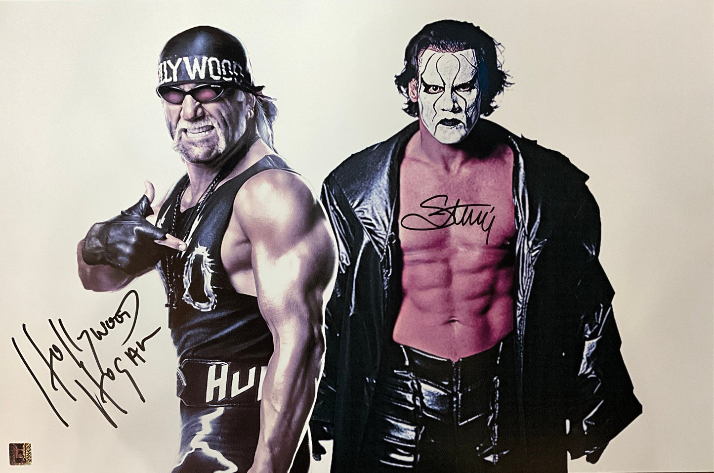"Hollywood" Hulk Hogan and Sting Autographed 16x24 Poster
