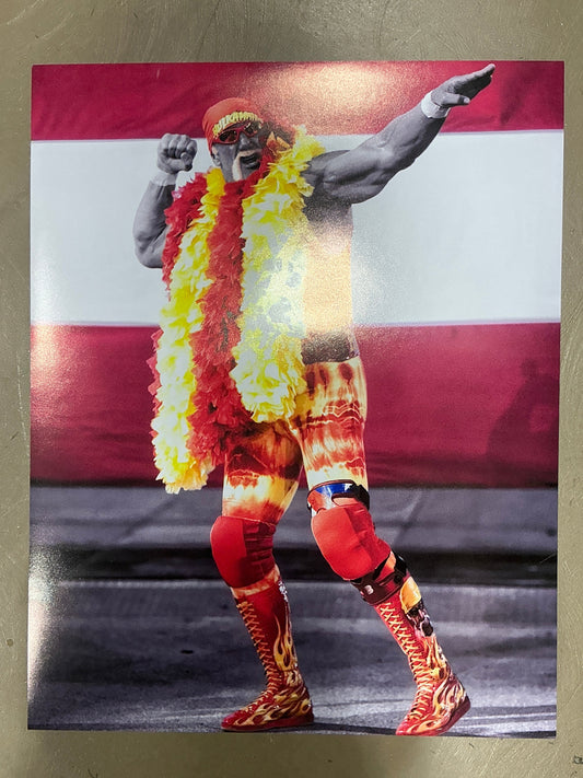Hulkamania Flag & Boa Bow and Arrow UNSIGNED 16x20 Poster