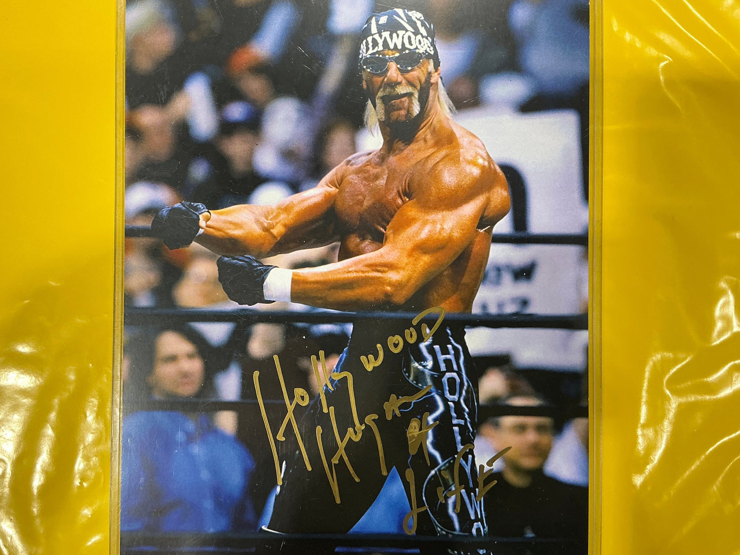 Consignment SR - Hollywood Hogan Powerflex 8x10 Photo Signed Framed