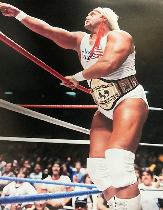 Hulk Hogan American Made Point 16x20 Unsigned Poster