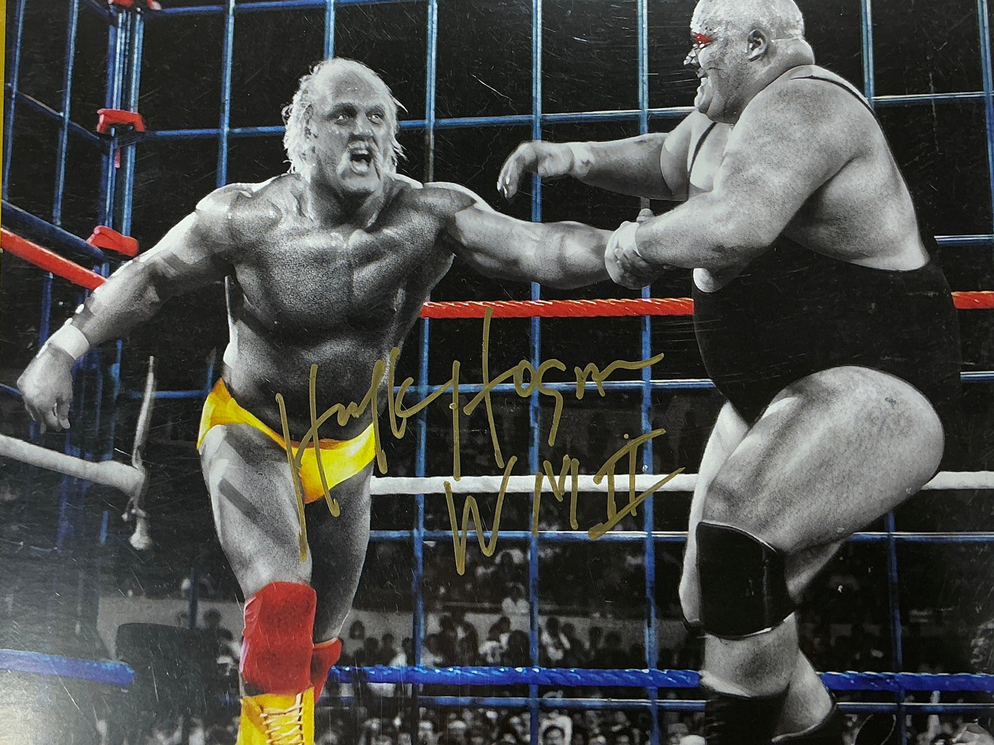 Consignment SR - Hogan Cage WM2 8x10 Photo Signed Framed