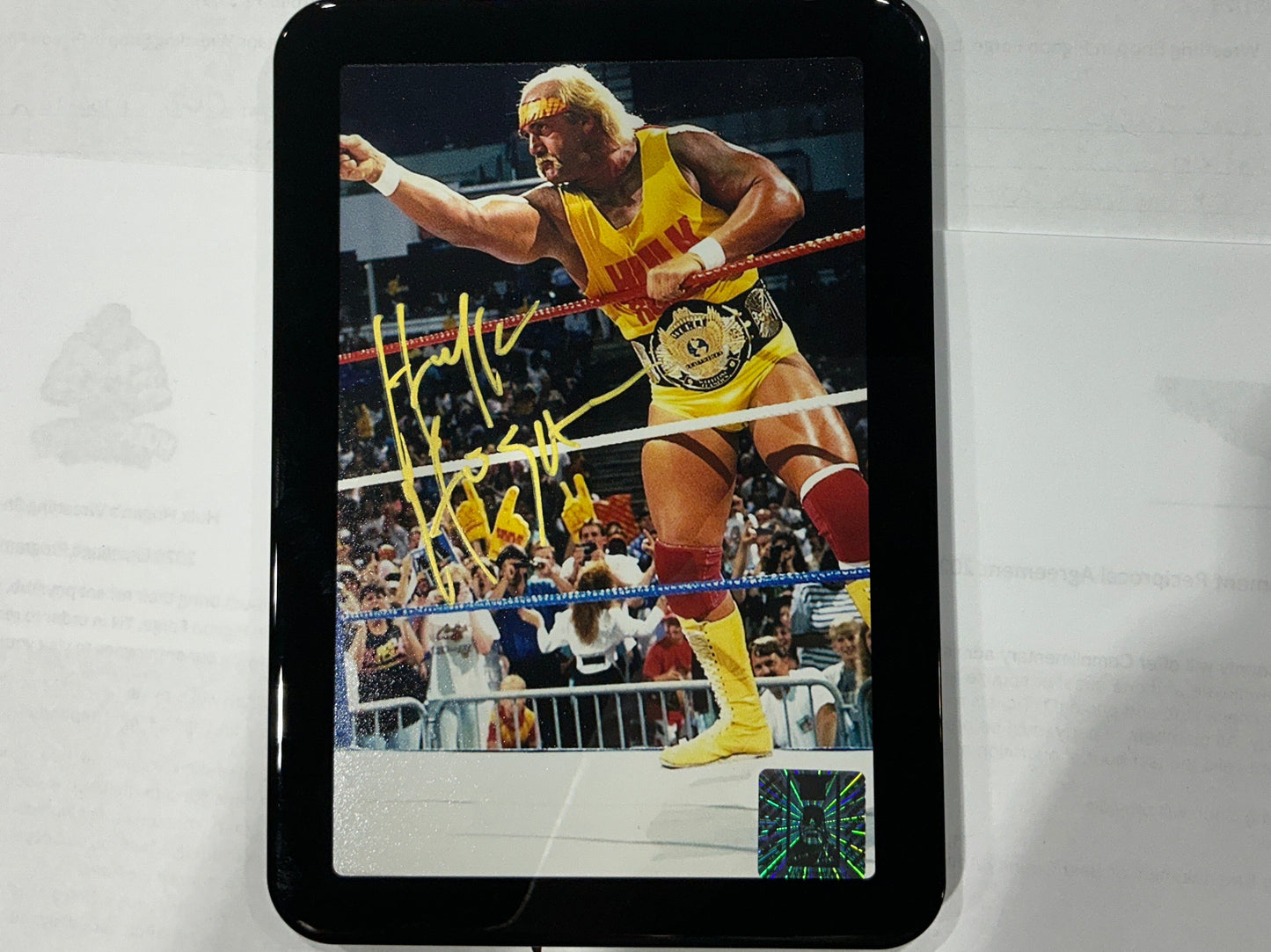 Consignment SR - Framed Hulk Winged Eagle 4x6 Photo Signed
