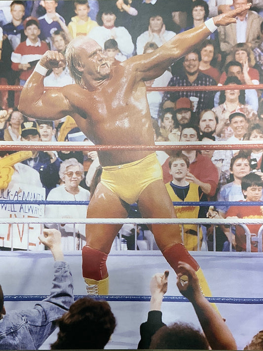 Hulk Hogan "Bow n' Arrow" UNSIGNED 16x20 Poster