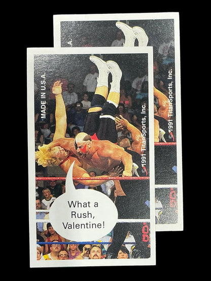 1991 TitanSports Inc. Valentines Day Card Set