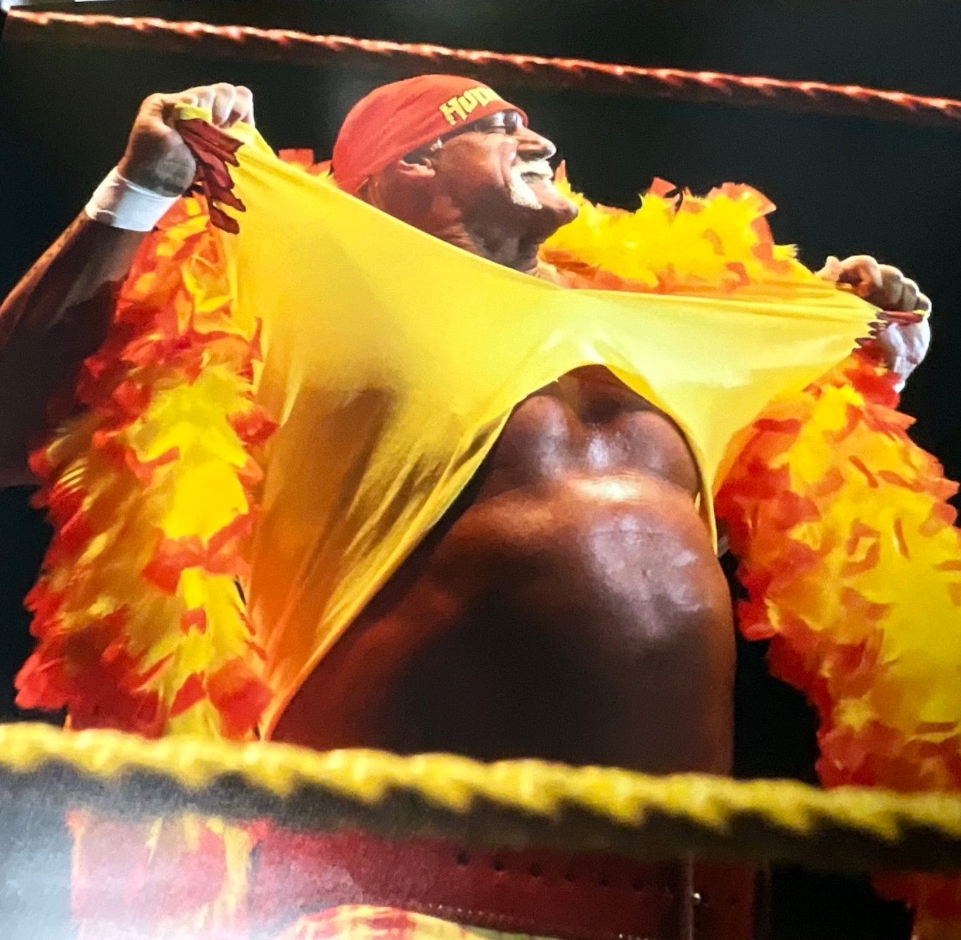 Hulkamania Boa Shirt rip Horizontal 16x20 Unsigned Poster