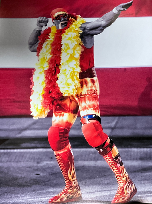 Red And White Stripe Boa 16x20 Unsigned Poster