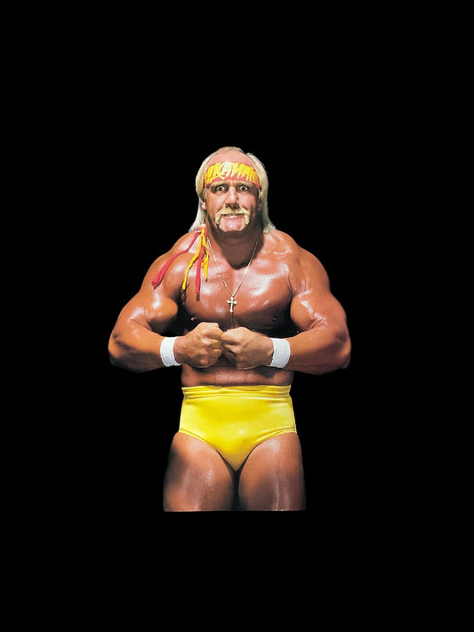 WWE Hulkamania Side Flex Unsigned Magazine