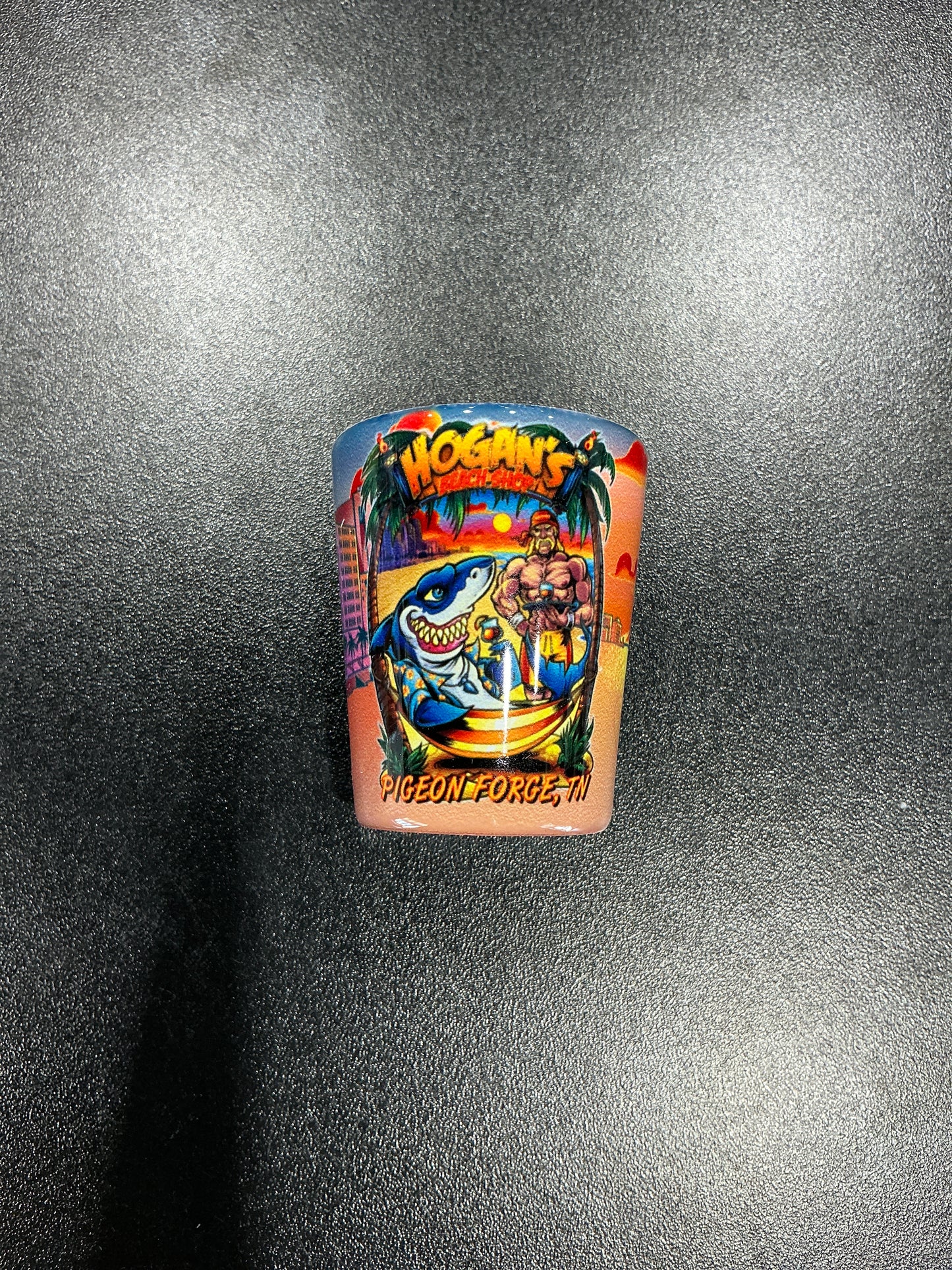 Shark Hammock Shot Glass