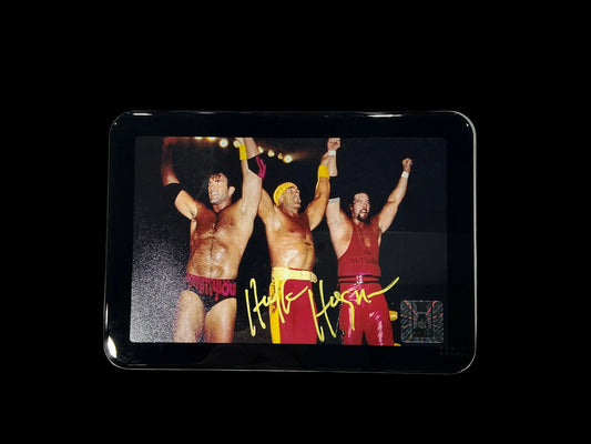 Consignment SR - Framed Hulk Hogan NWO 4x6 Photo Signed