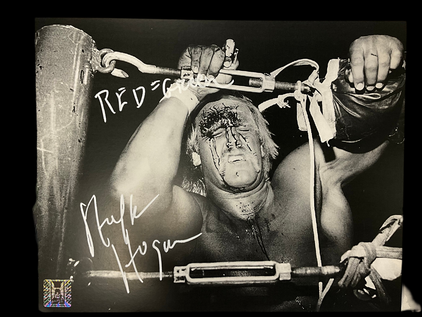 Bleeding Hogan Autograph 8x10 Photo