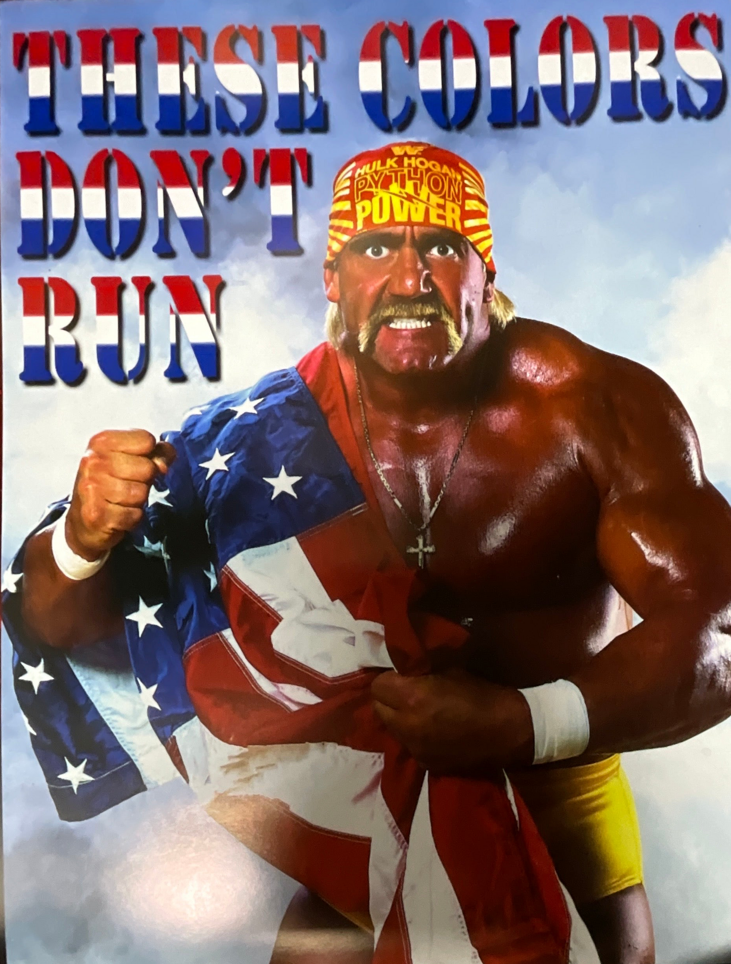 These Colors Don't Run Flag 18x24 Unsigned Poster